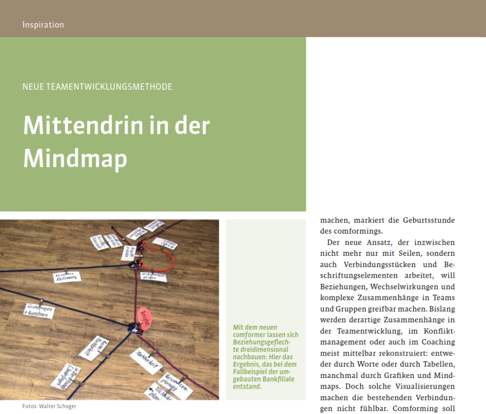 comforming-Strukturentwicklung Anwendungsbeispiel im Teamcoaching